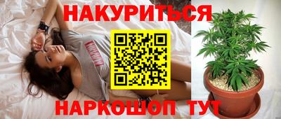 гашик Обь