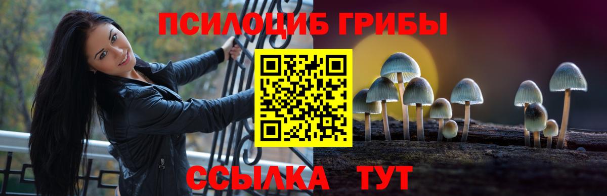Сунжа  Псилоцибиновые грибы GOLDEN TEACHER  Вход с VPN  Псилоцибиновые грибы MAGIC MUSHROOMS 